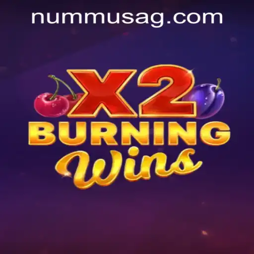 BurningWinsX2: The Thrilling World of Slot Gaming