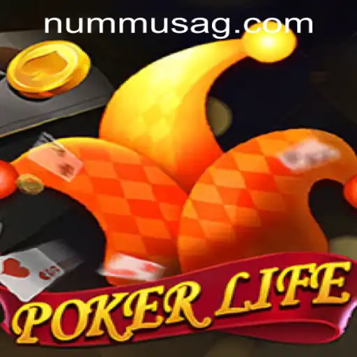 Discover the Thrills of PokerLife and the Magic of MagicJackpot.bet.br